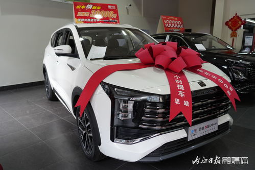 內江第三十三屆汽車文化周盛大啟幕，內江市宇良汽車銷售攜江淮、思皓等實力車型驚艷亮相